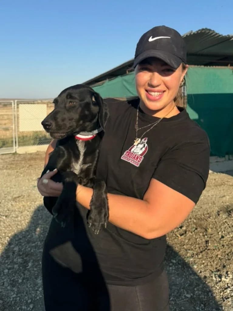 Bianca, female mixed breed for adoption at Saving Souls Animal Rescue