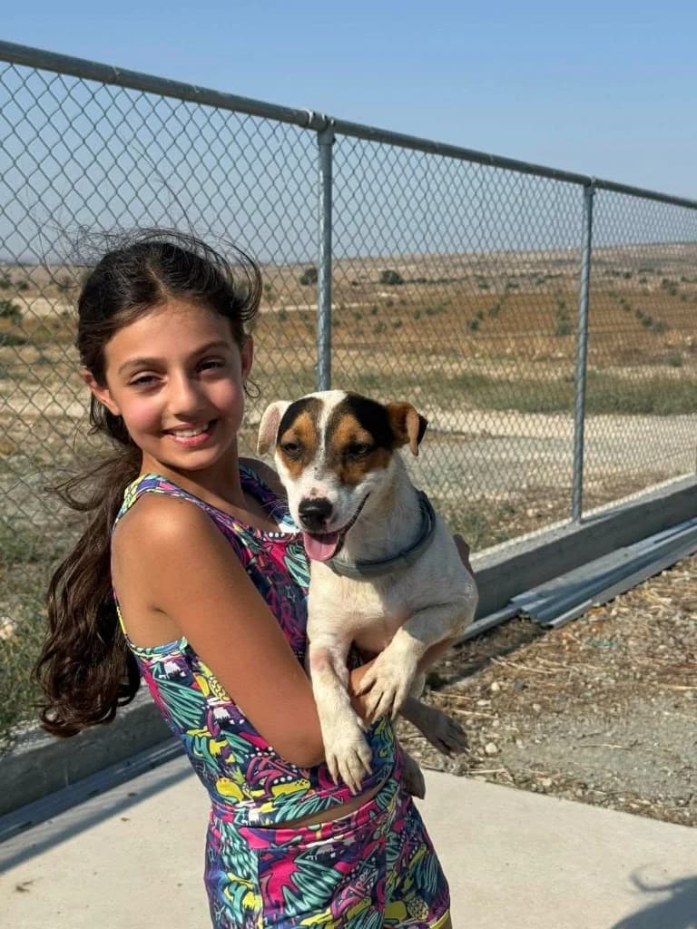 Jack, male Jack Russell Terrier for adoption at Saving Souls Animal Rescue