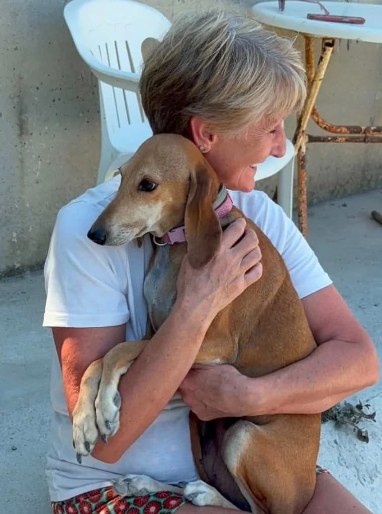 Molly, female mixed breed for adoption at Saving Souls Animal Rescue