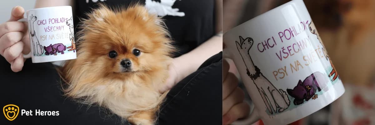 Dárky pro zvířata i pro vás: Jak udělat radost pod stromeček sobě i zvířatům v, Mixed Breed for adoption at Pet Heroes