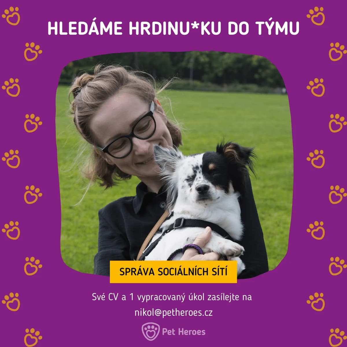 HLEDÁME HRDINU*KU PRO ZVÍŘATA NA SOCIÁLNÍ SÍTĚ, Mixed Breed for adoption at Pet Heroes