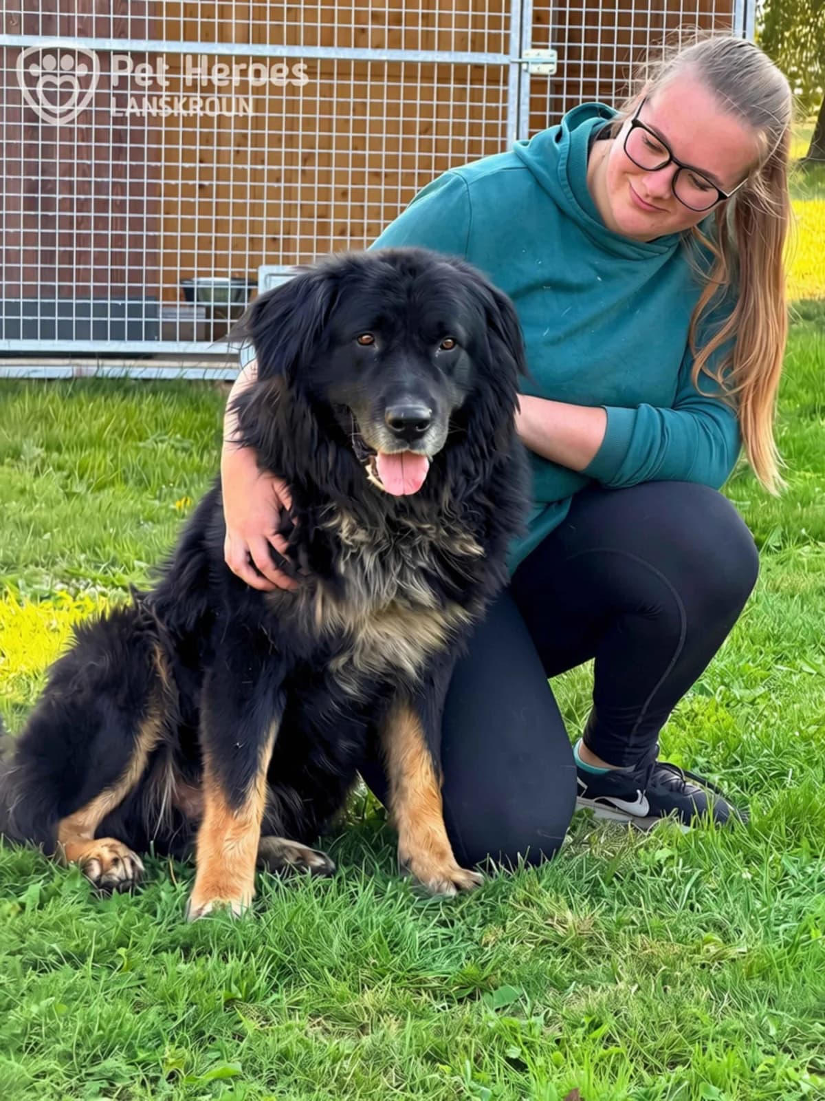 Robin🧸se srdcem hrdiny hledá domov, male Mixed Breed for adoption at Pet Heroes Lanškroun, Lanškroun