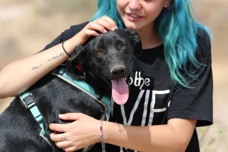 Uri, Mixed Breed for adoption at Arche Noah e.V., Bensheim