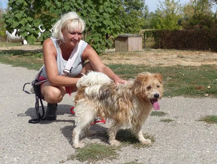 Picur, male senior Mixed Breed for adoption at Canifair e.V., Kaarst