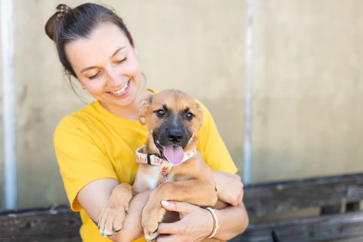 Blondie, female puppy Mixed Breed for adoption at Ein Herz für Streuner e.V., München