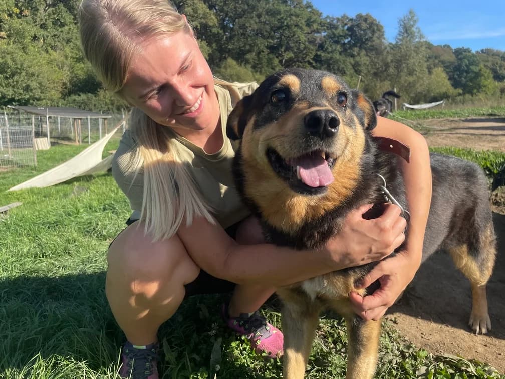Bosco, male 7yo Mixed Breed for adoption at Ein Herz für Streuner e.V., München
