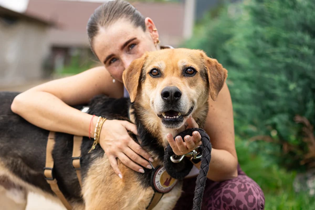 Conan, male 6yo Mixed Breed for adoption at Ein Herz für Streuner e.V., München