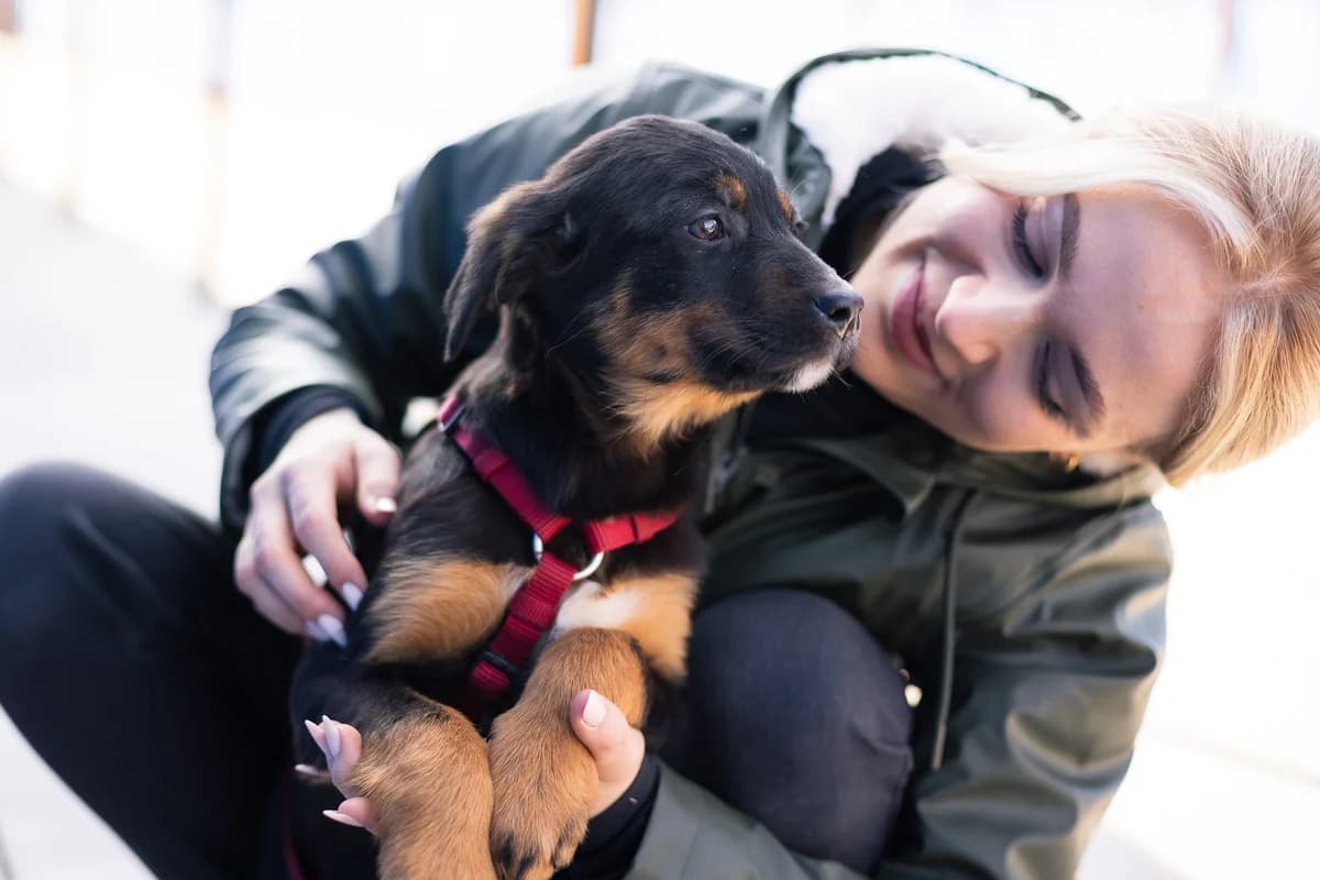 Darling, female puppy Mixed Breed for adoption at Ein Herz für Streuner e.V., München