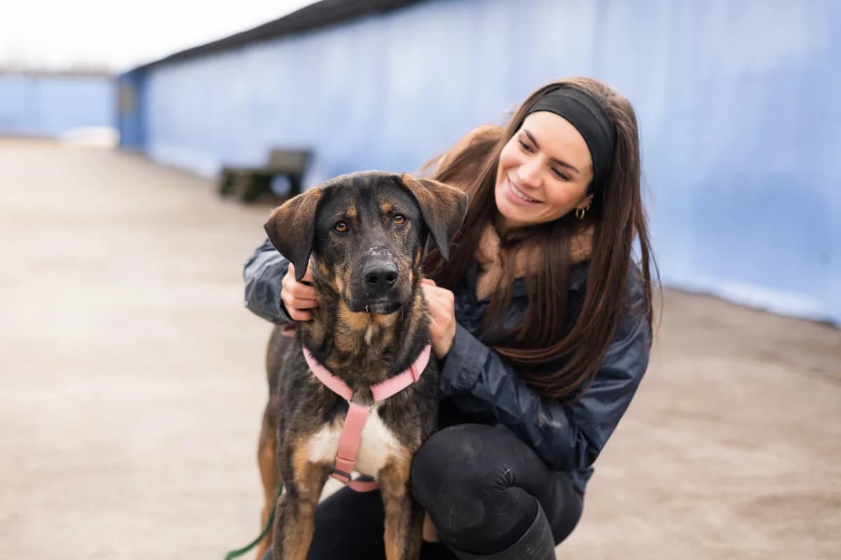 Dusza, female 5yo Mixed Breed for adoption at Ein Herz für Streuner e.V., München