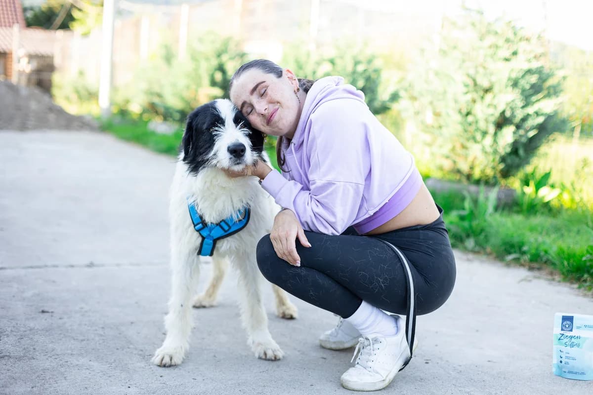 Flash, male 5yo Mixed Breed for adoption at Ein Herz für Streuner e.V., München