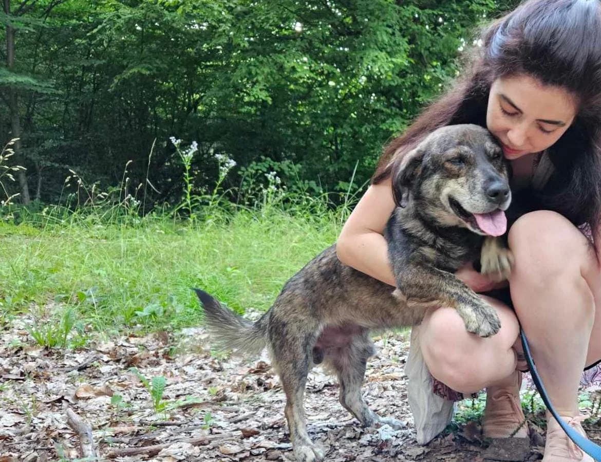 Fritz, male 4yo Mixed Breed for adoption at Ein Herz für Streuner e.V., München