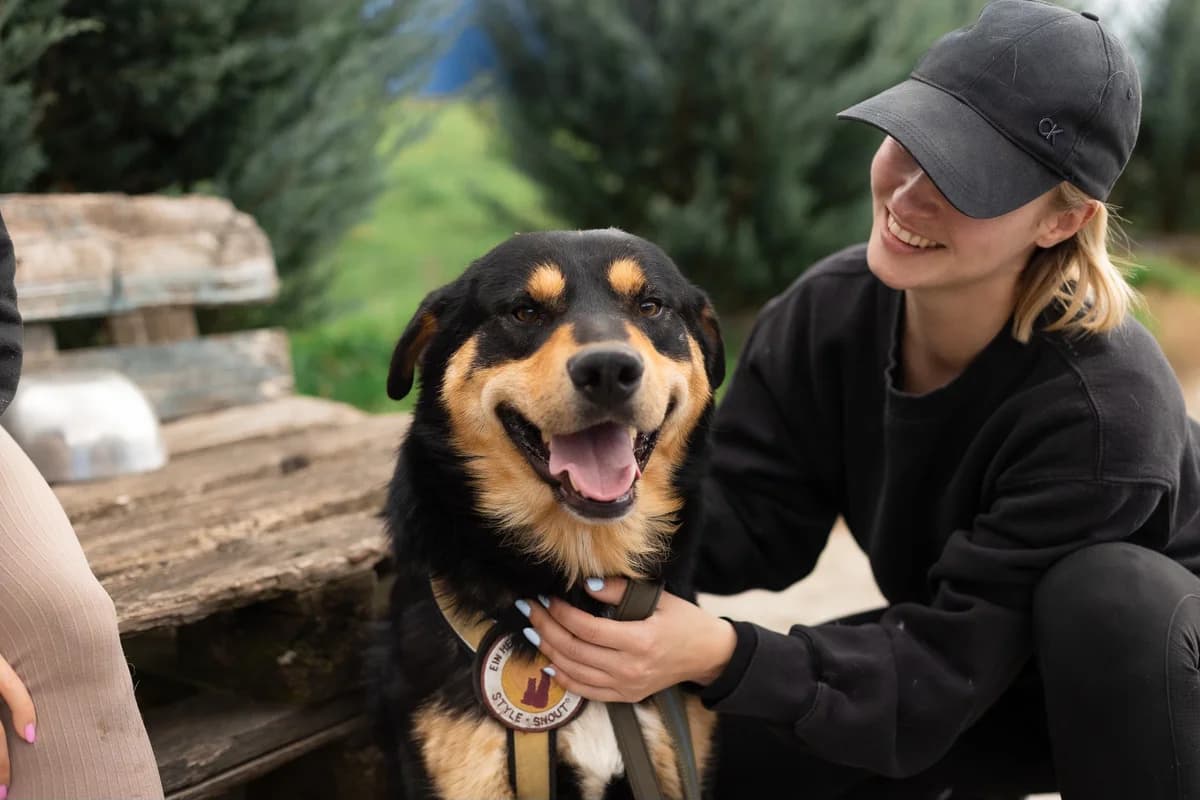 Hektor, male 6yo Mixed Breed for adoption at Ein Herz für Streuner e.V., München