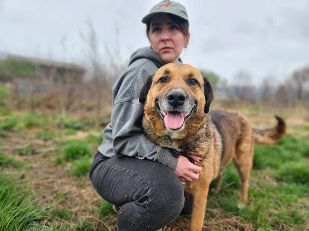 Heppny, beige male 5yo Mixed Breed for adoption at Ein Herz für Streuner e.V., München