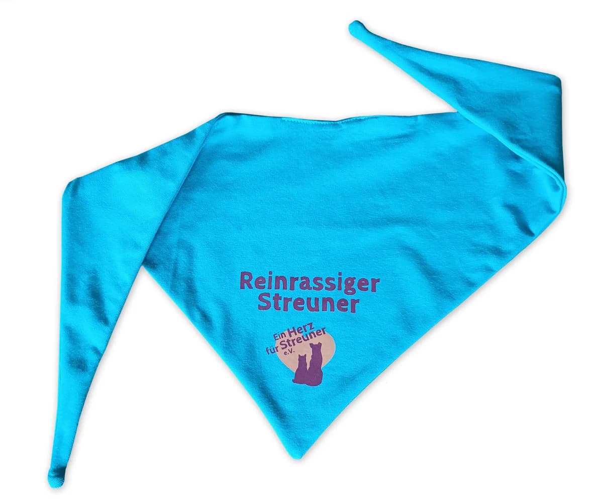 Hundehalstuch Atollblau, Mixed Breed for adoption at Ein Herz für Streuner e.V., München