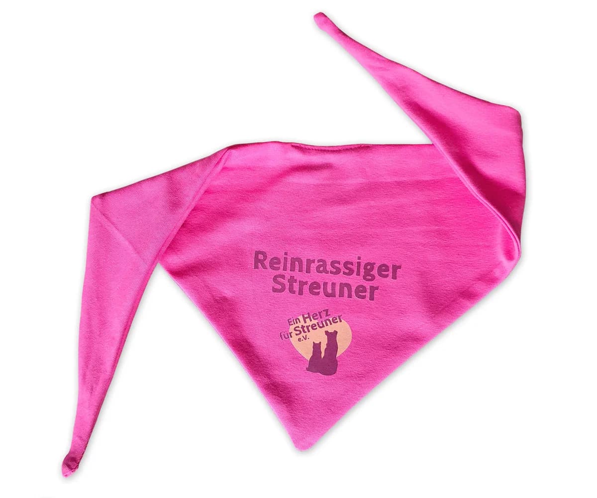 Hundehalstuch Pink, Mixed Breed for adoption at Ein Herz für Streuner e.V., München