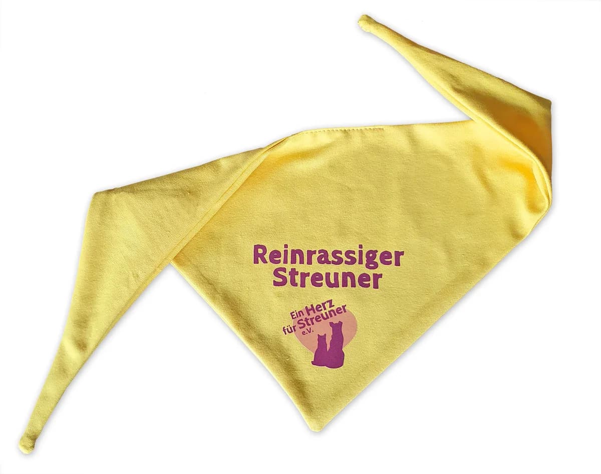 Hundehalstuch Sonnengelb, Mixed Breed for adoption at Ein Herz für Streuner e.V., München
