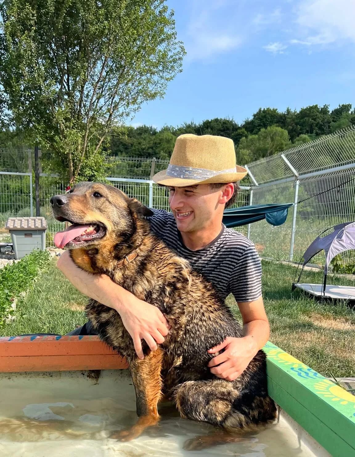 Jarkko, gold male 5yo Mixed Breed for adoption at Ein Herz für Streuner e.V., München