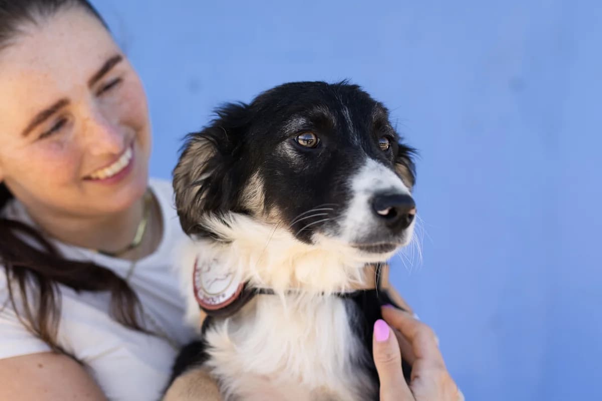Joell, schwarz male puppy Mixed Breed for adoption at Ein Herz für Streuner e.V., München