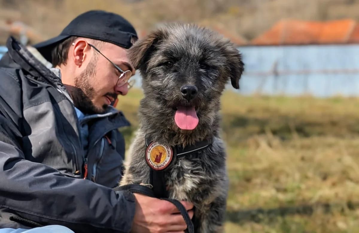 Joplin, female puppy Mixed Breed for adoption at Ein Herz für Streuner e.V., München