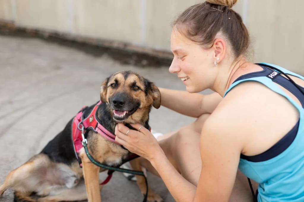 Lilou, male 3yo Mixed Breed for adoption at Ein Herz für Streuner e.V., München