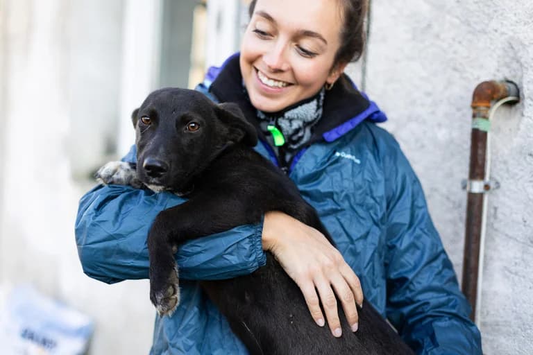 Minnie, female puppy Mixed Breed for adoption at Ein Herz für Streuner e.V., München