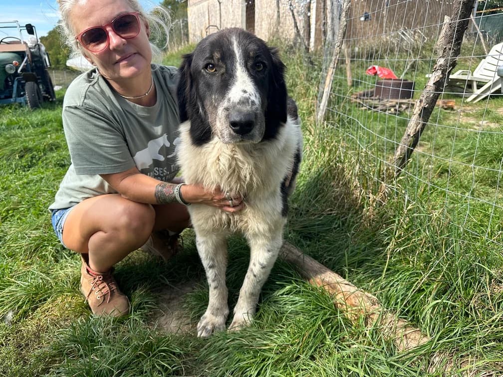 Mukki, male 5yo Mixed Breed for adoption at Ein Herz für Streuner e.V., München