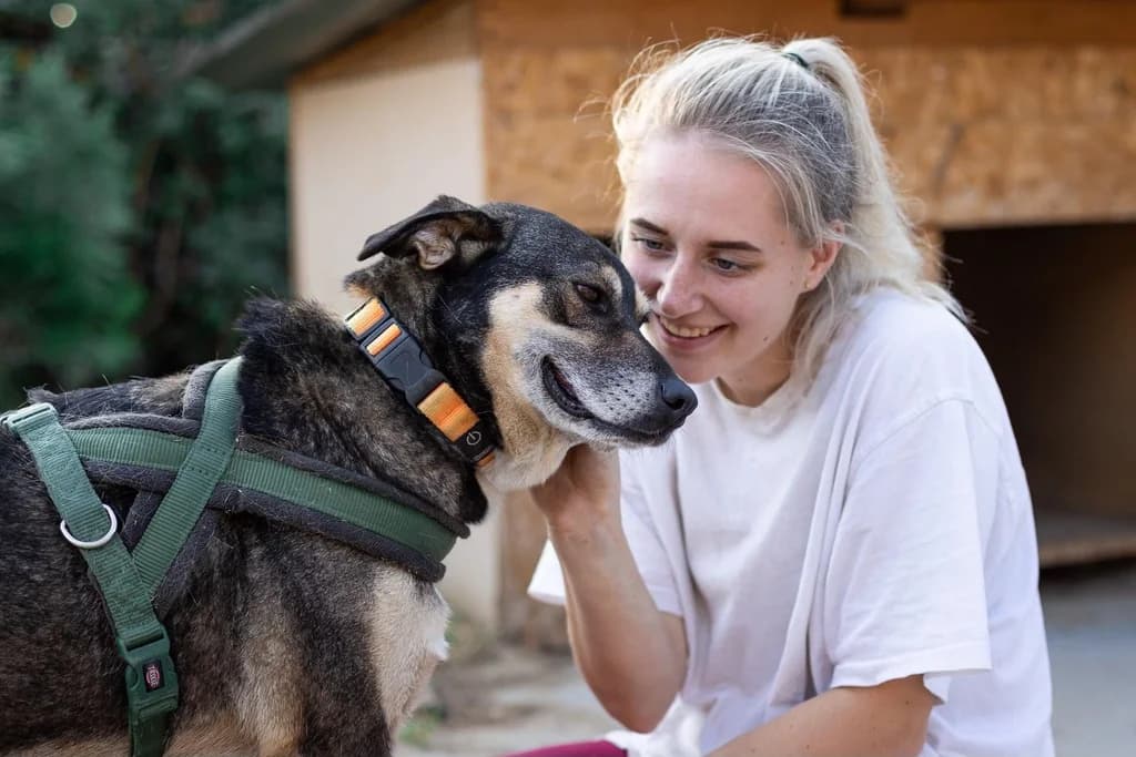 Reva, female 6yo Mixed Breed for adoption at Ein Herz für Streuner e.V., München