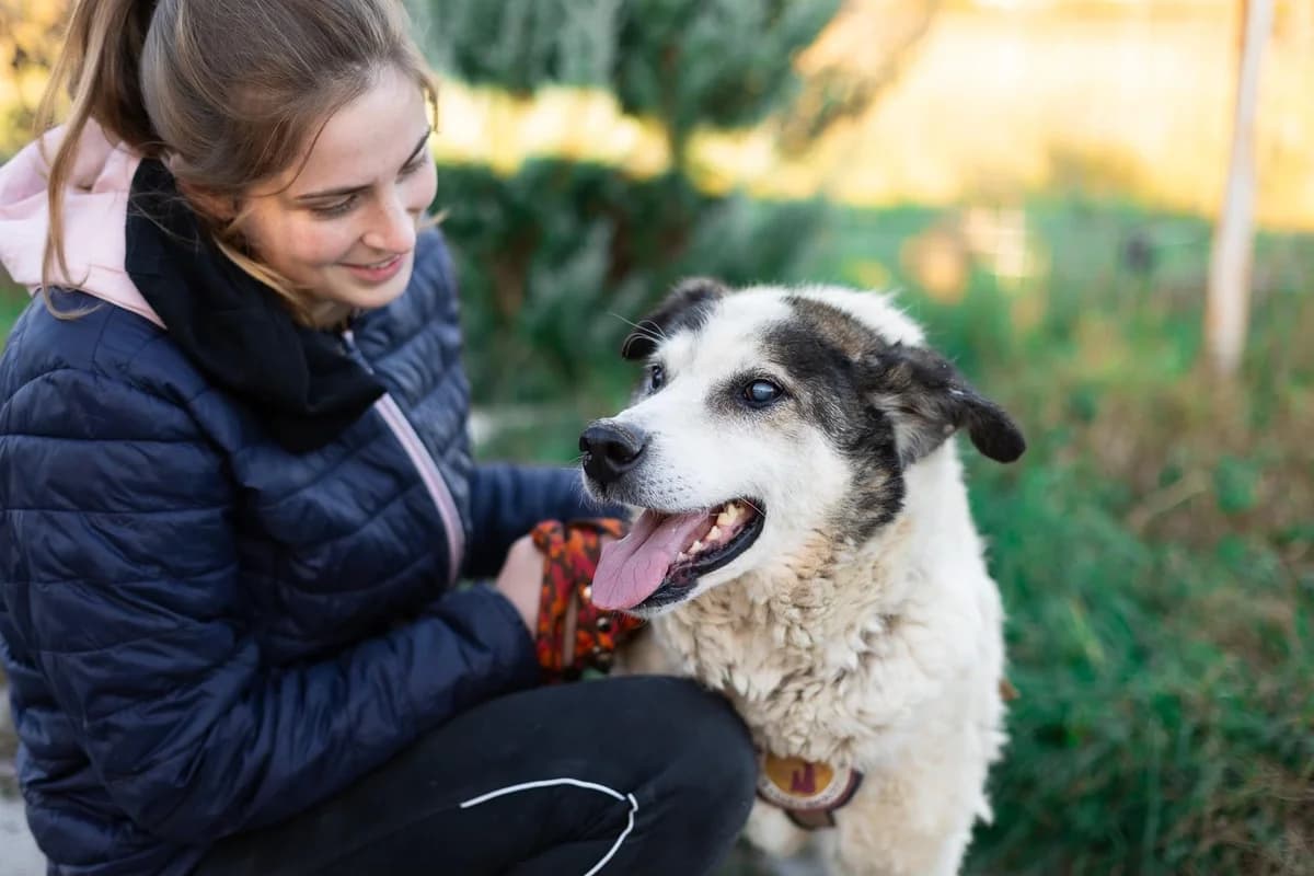 RÜDiger, male 5yo Mixed Breed for adoption at Ein Herz für Streuner e.V., München