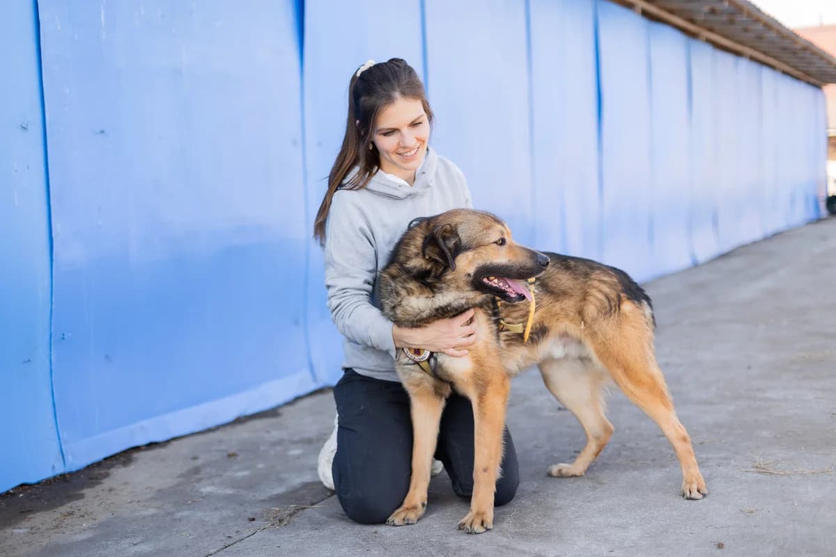 Stifler, male 3yo Mixed Breed for adoption at Ein Herz für Streuner e.V., München