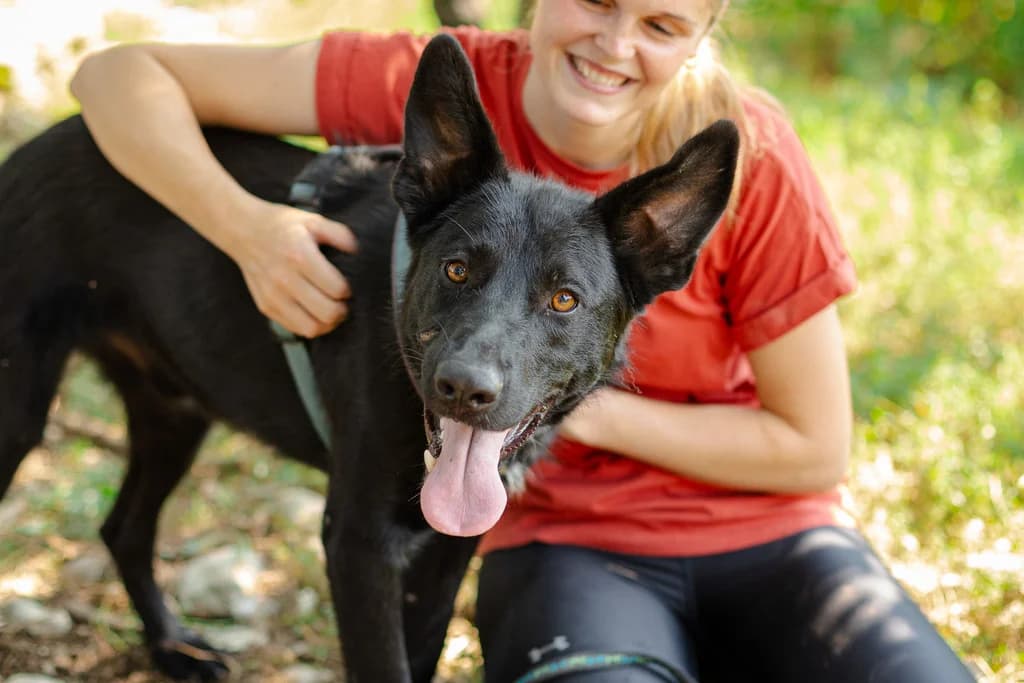 Tanito, weiß male young Mixed Breed for adoption at Ein Herz für Streuner e.V., München