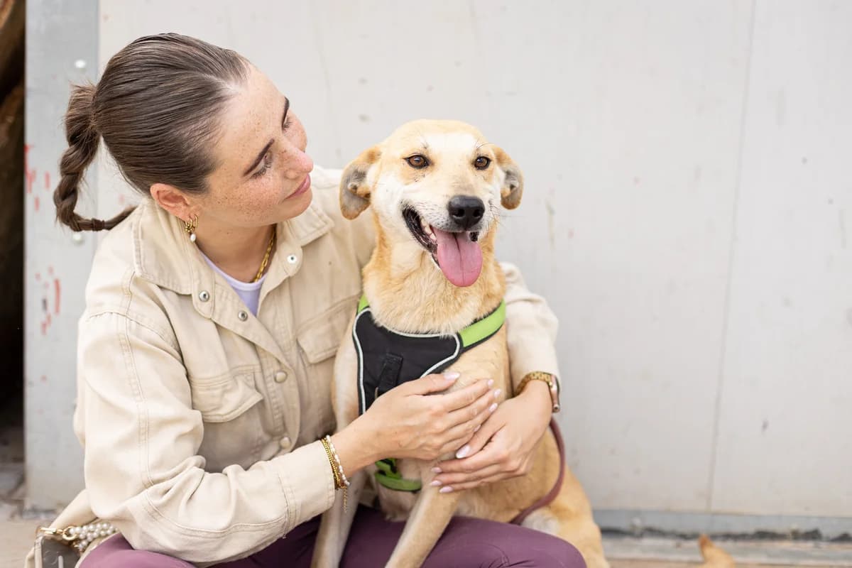 Tosca, female 5yo Mixed Breed for adoption at Ein Herz für Streuner e.V., München