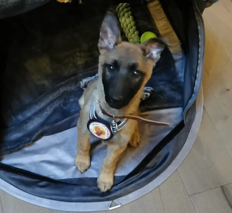 Yuna, Mixed Breed for adoption at Ein Herz für Streuner e.V., München