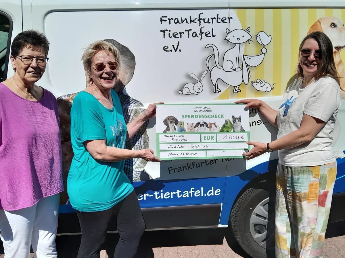 Lotte, senior Mixed Breed for adoption at Arme Hunde – Gran Canaria, München