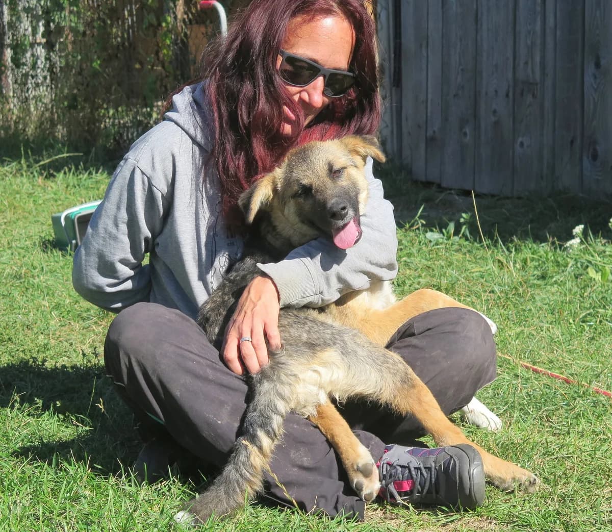 Saris, female Mixed Breed for adoption at Freundeskreis Brunopet e.V.