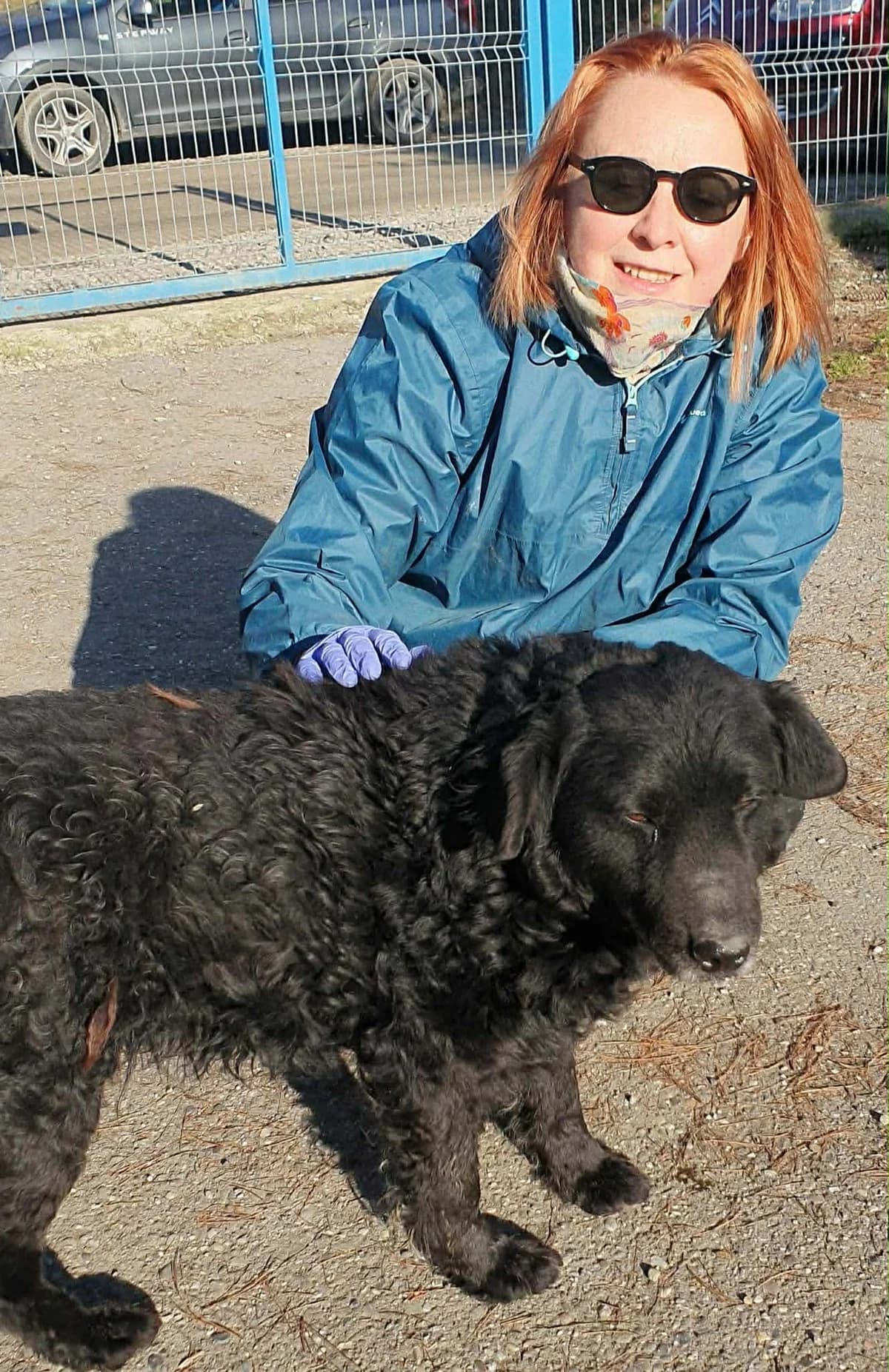 Argos, male senior Mixed Breed for adoption at Freundeskreis Notfellchen e.V., Dorsten