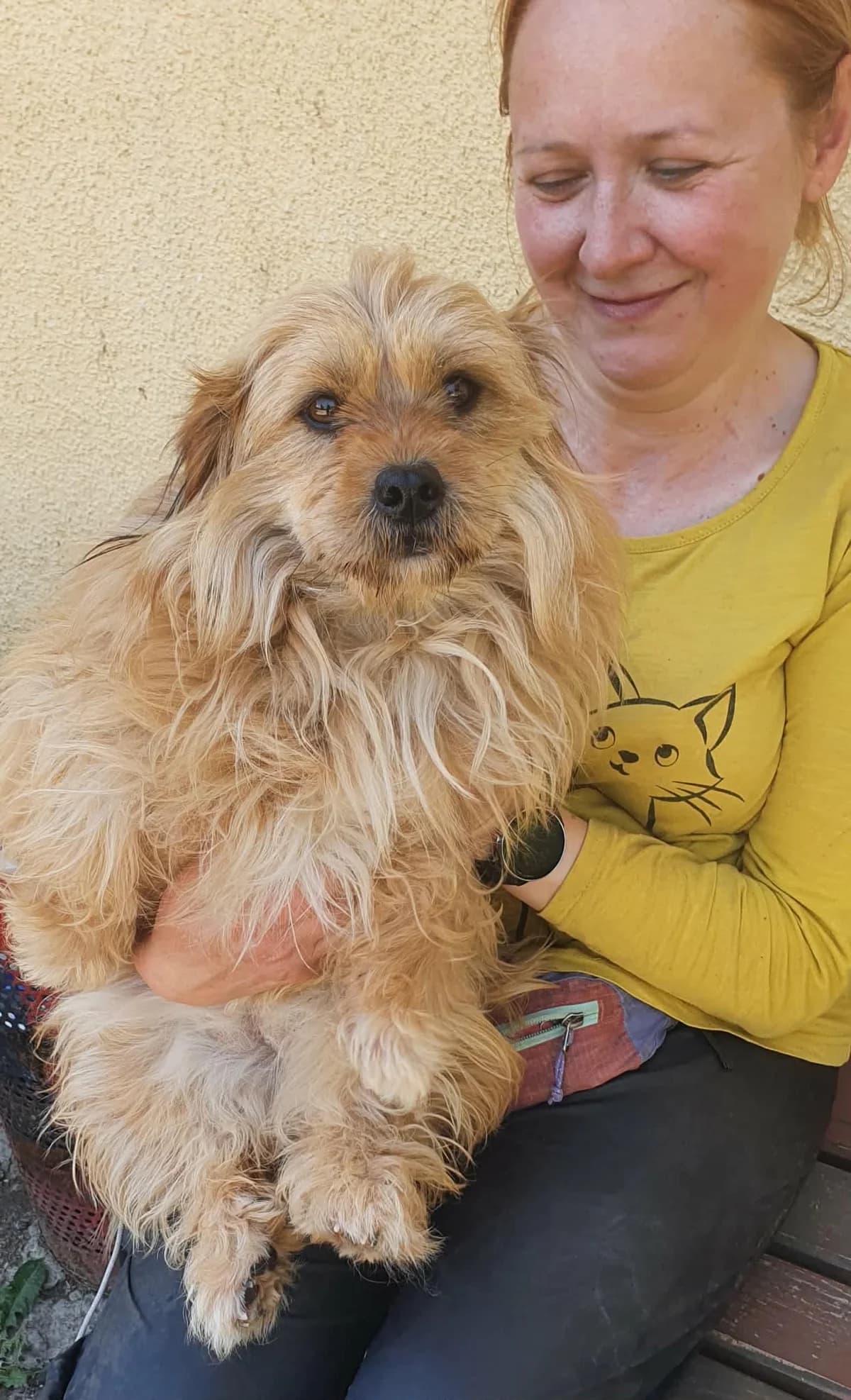 Cleo, female young Mixed Breed for adoption at Freundeskreis Notfellchen e.V., Dorsten