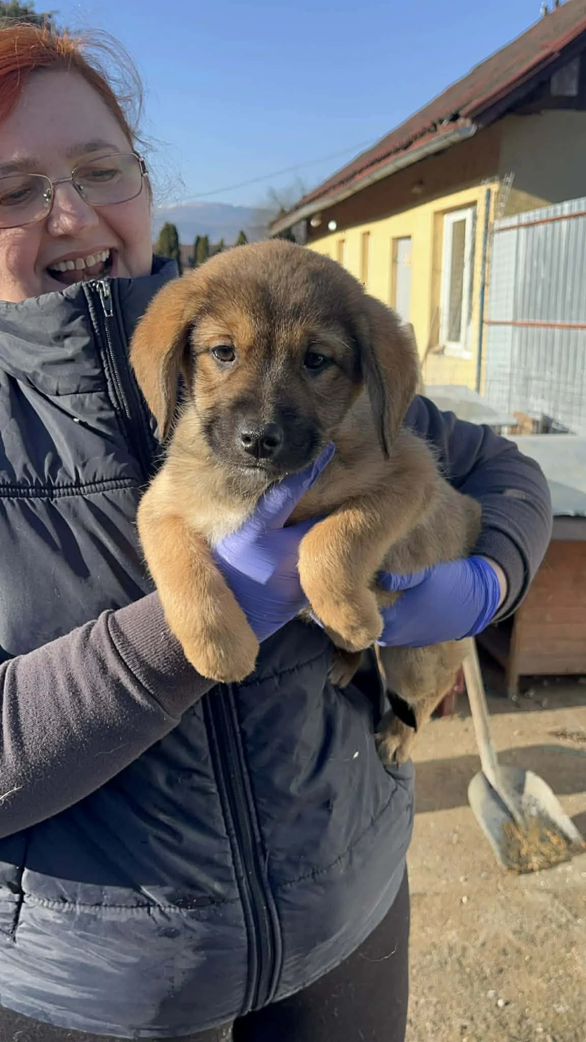 Flora, female young Mixed Breed for adoption at Freundeskreis Notfellchen e.V., Dorsten