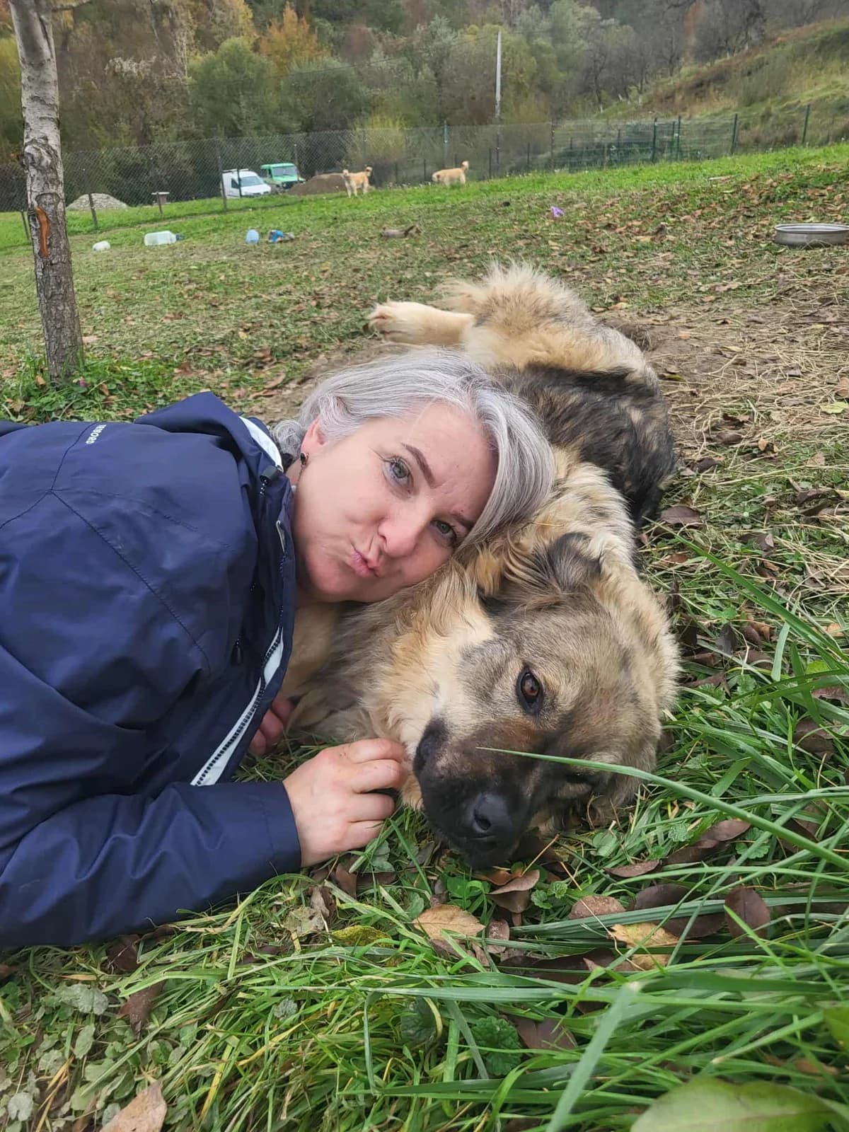 Perla, female 4yo Mixed Breed for adoption at Freundeskreis Notfellchen e.V., Dorsten