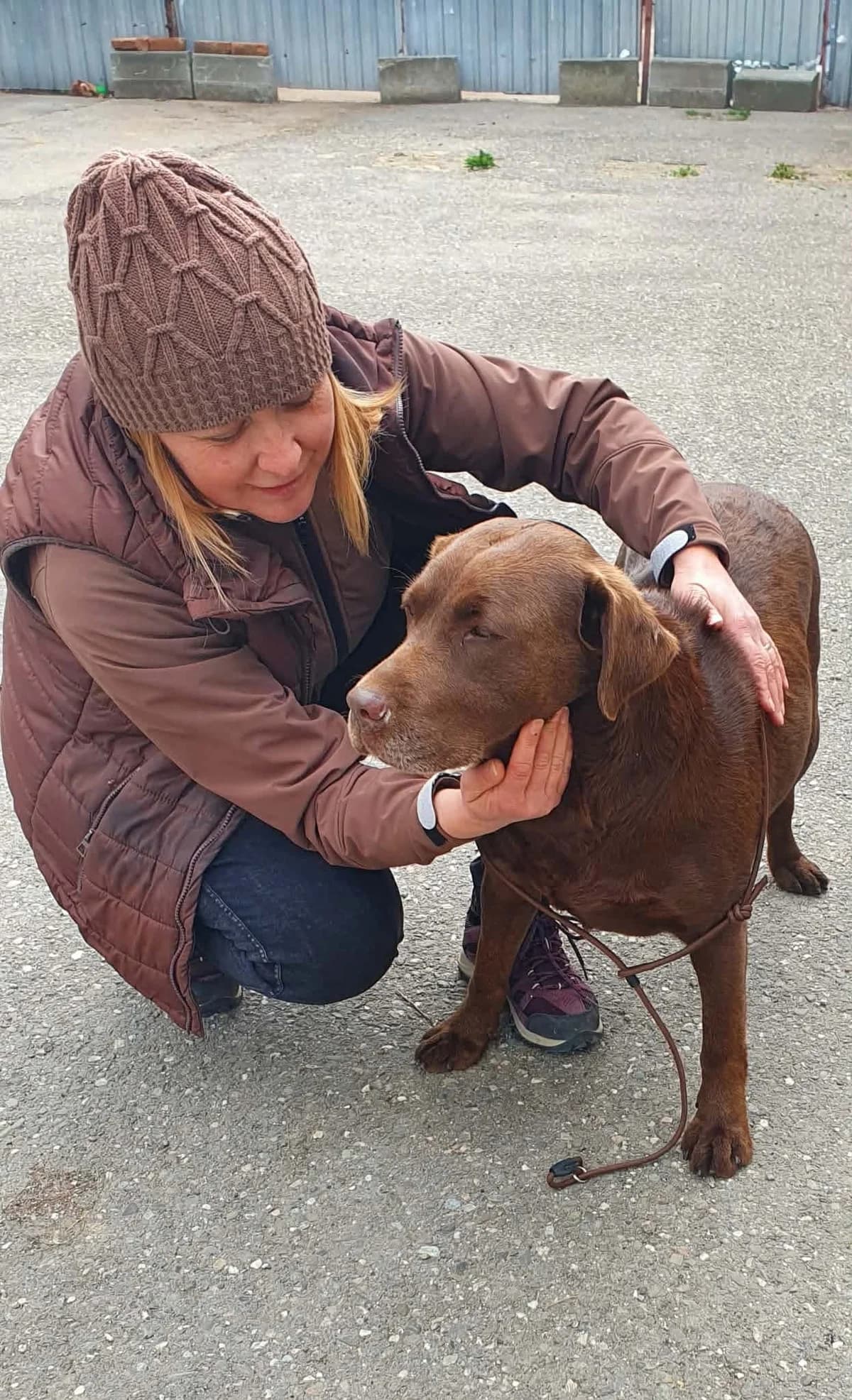 Samira, female 4yo Mixed Breed for adoption at Freundeskreis Notfellchen e.V.