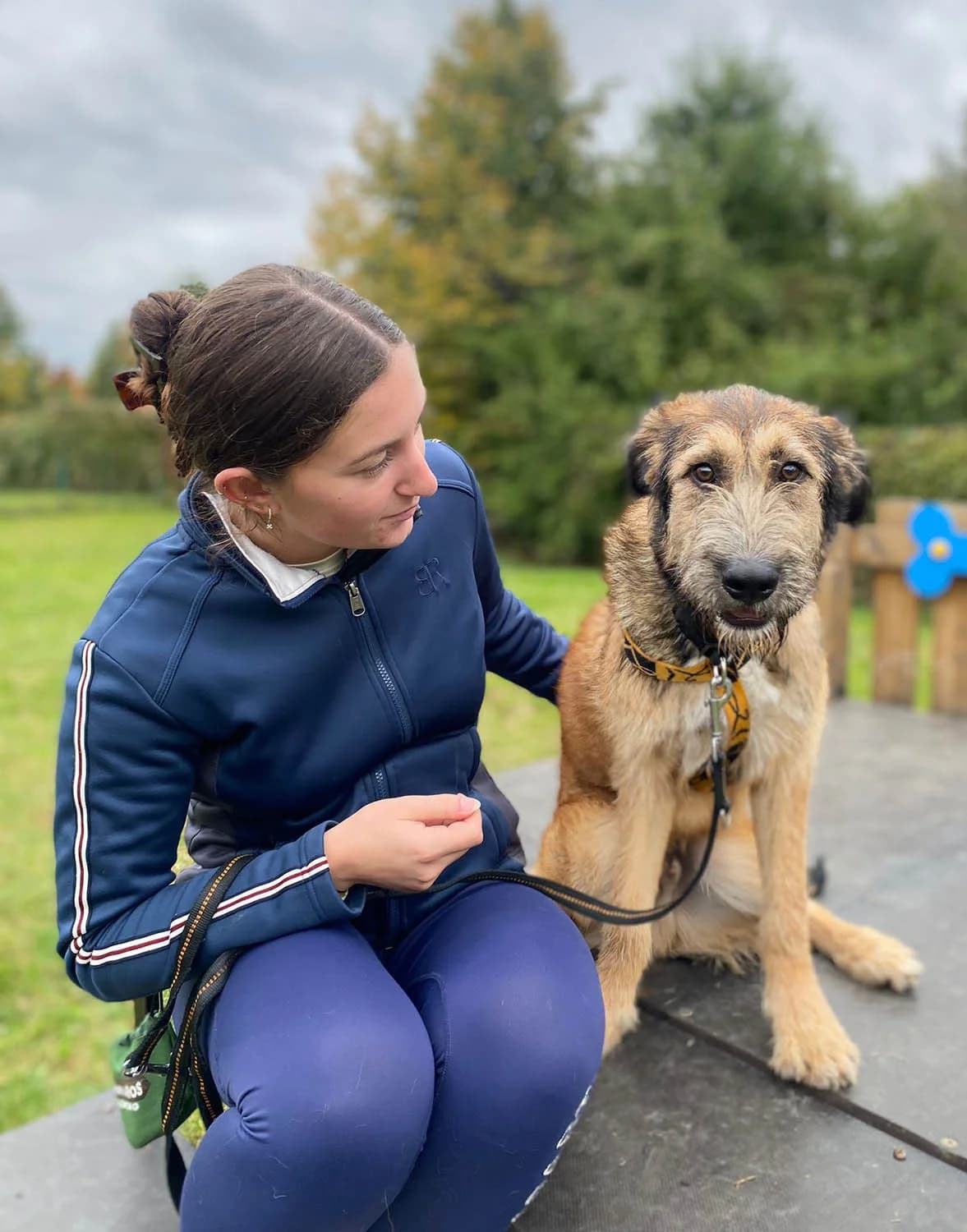 Murphy1, male senior Mixed Breed for adoption at Grenzenlose Notfelle e.V., Dittelbrunn