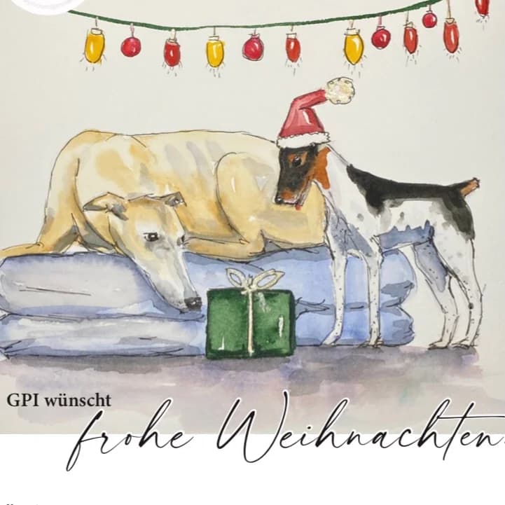 GPI-Weihnachtsbrief 2022, 4yo Mixed Breed for adoption at Greyhound Protection International, Troisdorf