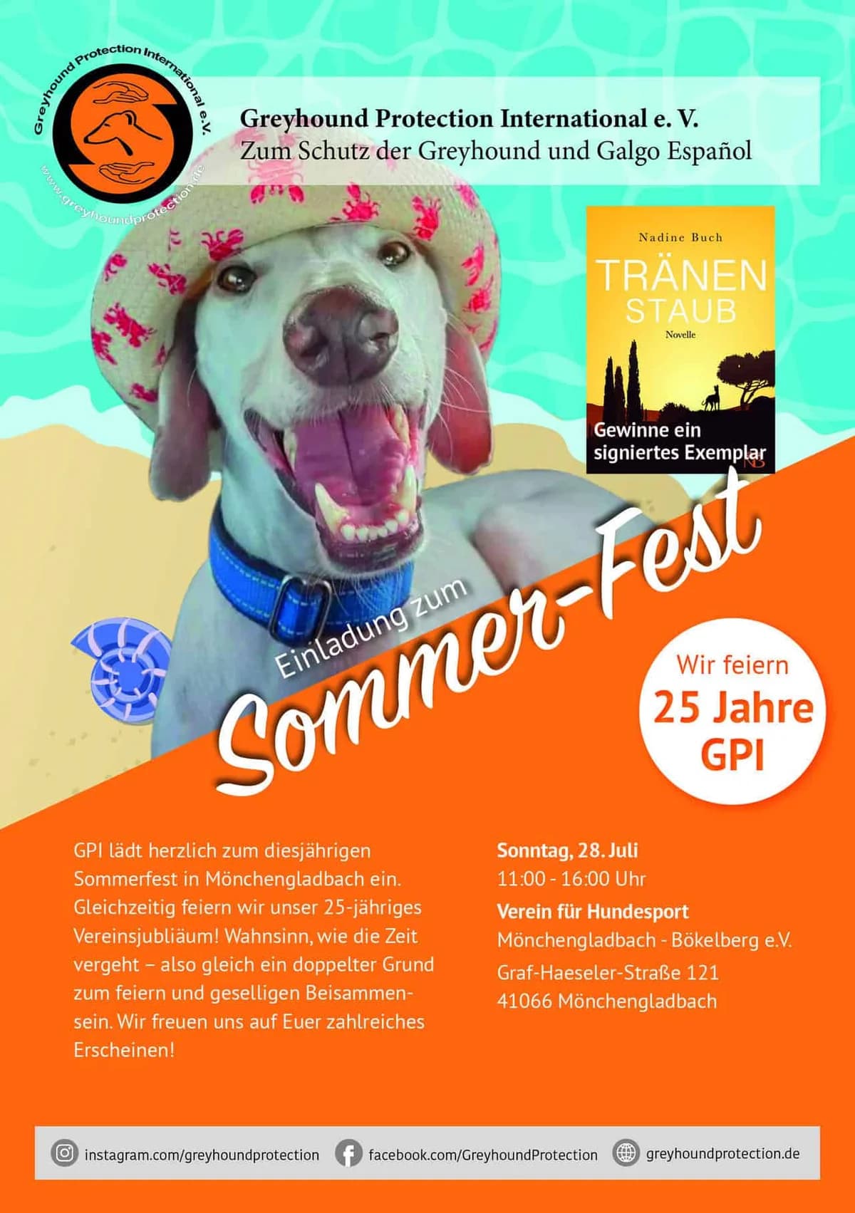 Sommerfest, Mixed Breed for adoption at Greyhound Protection International, Troisdorf