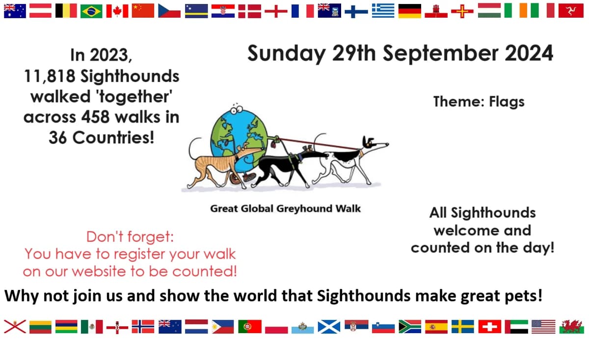 Great Global Greyhound Walk 2024 – Einladung, Mixed Breed for adoption at Greyhound Protection International, Troisdorf