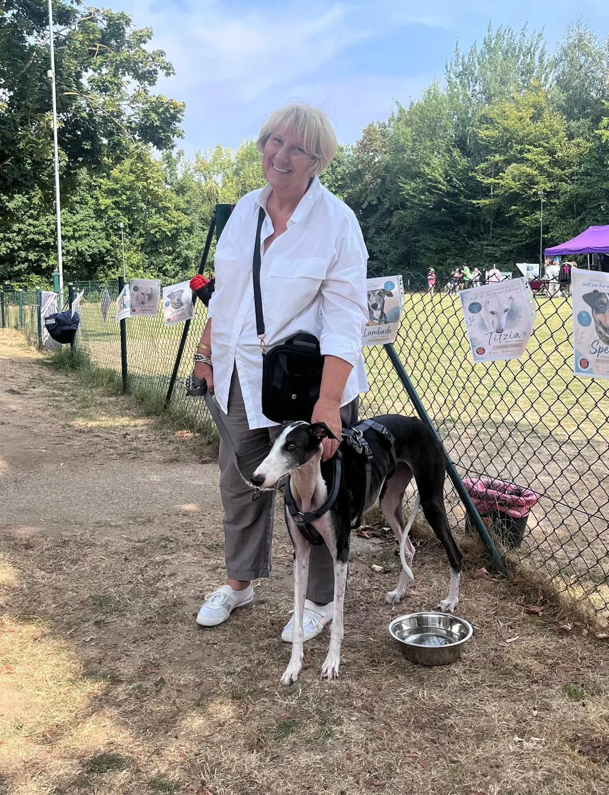 ☀️ Unser Sommerfest 2026 – was für ein wunderschöner Tag! ☀️, Mixed Breed for adoption at Greyhound Protection International, Troisdorf