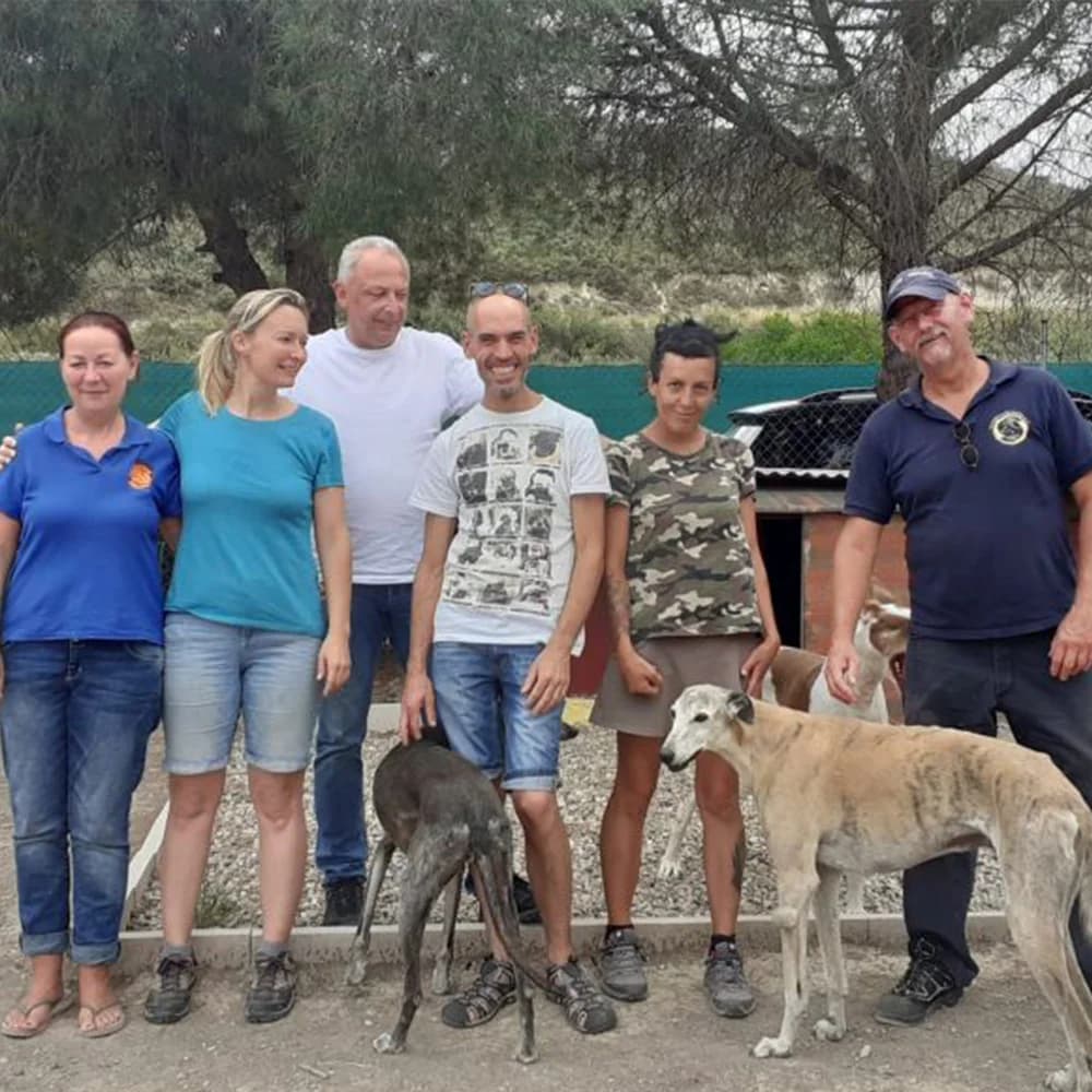 Besuch in Spanien – Tierheim Patan, Mixed Breed for adoption at Greyhound Protection International, Troisdorf