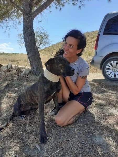 Neues aus Pilars Refugio in Zaragoza, Mixed Breed for adoption at Greyhound Protection International, Troisdorf