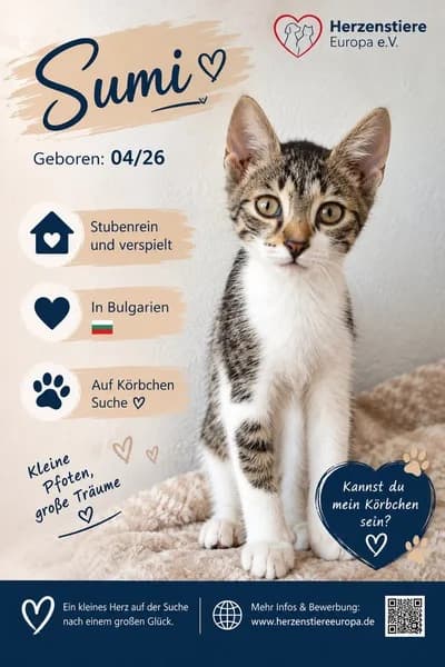 SUMI, getigert female puppy Mixed Breed for adoption at Herzenstiere Europa e.V.