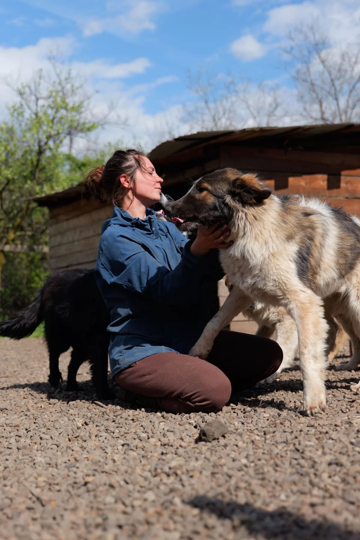 Amata, female young Mixed Breed for adoption at Hope for Future e.V.