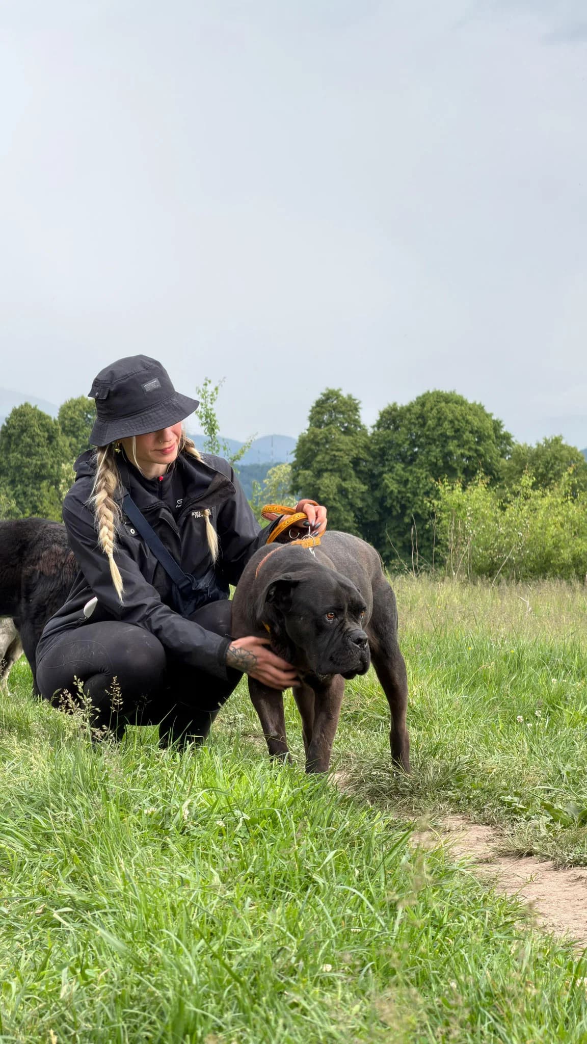 Cassie, schwarz female 4yo Mixed Breed for adoption at Hope for Future e.V.