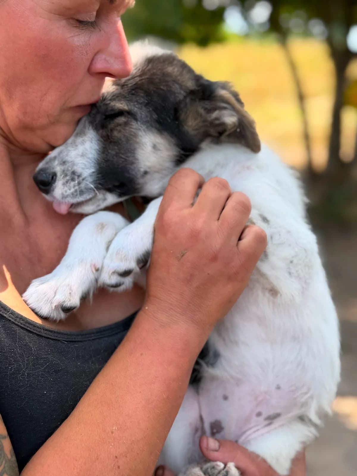 Knopf, male puppy Mixed Breed for adoption at Hope for Future e.V.